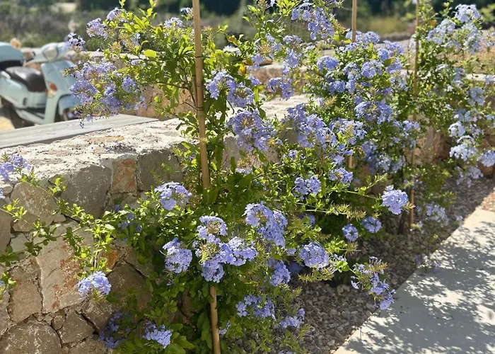 Olea Mare - Mediterranean Comfort And Style Willa Malinska