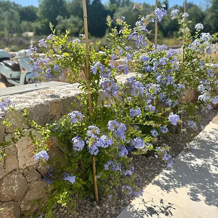 Brand New - Olea Mare - Mediterranean Comfort And Style Villa Malinska
